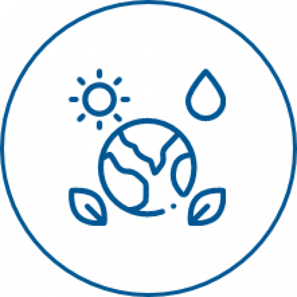 © neongrau A drawing of the earth with a sun and leaves in a blue circle.